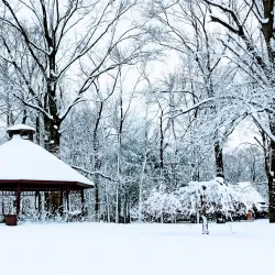 Roosevelt Park (Nearby) - Dunellen