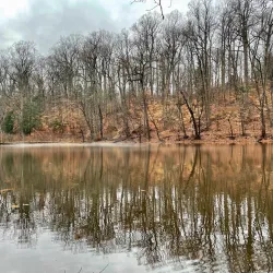 Watchung Reservation (Nearby) - Dunellen