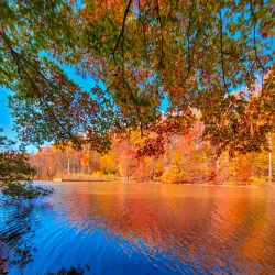 Watchung Reservation (Nearby) - Dunellen