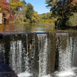 Watchung Reservation (Nearby) - Dunellen