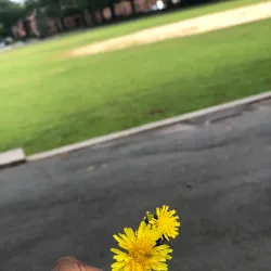 Elmwood Cemetery - East Orange