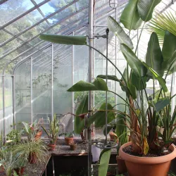 Presidential Estate of Thomas Edison - East Orange