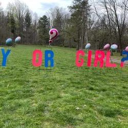 Tucker's Point Park - East Orange