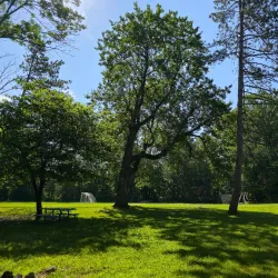 Tucker's Point Park - East Orange