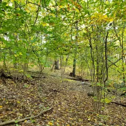 Tucker's Point Park - East Orange