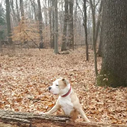 Tucker's Point Park - East Orange