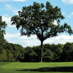 Metuchen Golf and Country Club - Edison