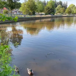 Roosevelt Park - Edison