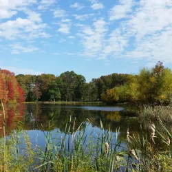 Tamarack Golf Course - Edison