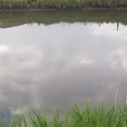 Elizabeth River Park - Elizabeth