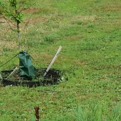 Elizabeth River Park - Elizabeth