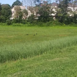 Elizabeth River Park - Elizabeth