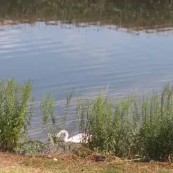 Elizabeth River Park - Elizabeth
