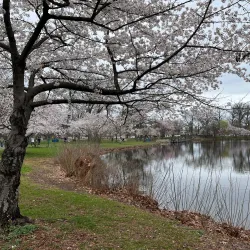 Warinanco Park - Elizabeth