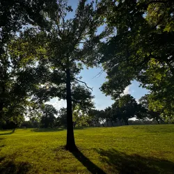 Warinanco Park - Elizabeth