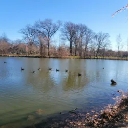 Warinanco Park - Elizabeth