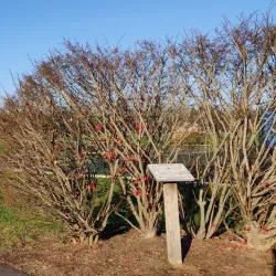 Flanders Community Park - Flanders