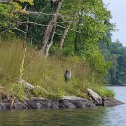 Splitrock Reservoir - Flanders