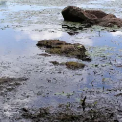 Splitrock Reservoir - Flanders