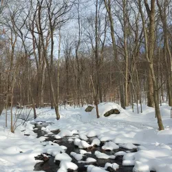 Tourne County Park - Flanders