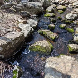 Tourne County Park - Flanders