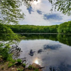 Tourne County Park - Flanders