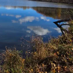 Turkey Brook Trail - Flanders