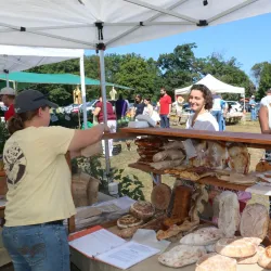 Dvoor Farm - Flemington