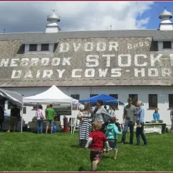 Dvoor Farm - Flemington