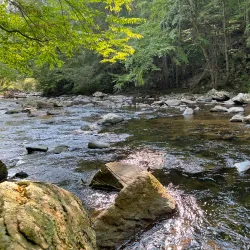 Raritan River Greenway - Flemington