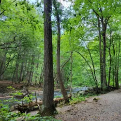 Raritan River Greenway - Flemington