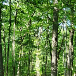 Raritan River Greenway - Flemington