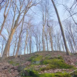 Raritan River Greenway - Flemington