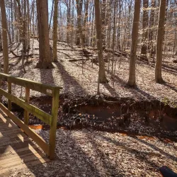 Clayton Park - Freehold