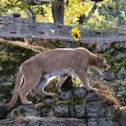 Bergen County Zoo - Hackensack