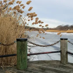 Hackensack River County Park - Hackensack
