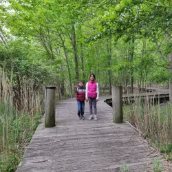 Hackensack River County Park - Hackensack