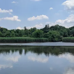 Hackensack River County Park - Hackensack