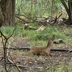 Hackensack River County Park - Hackensack