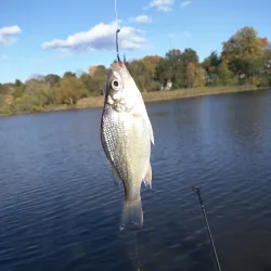 Hackensack River County Park - Hackensack