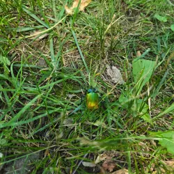 Veterans Memorial Park - Hackensack