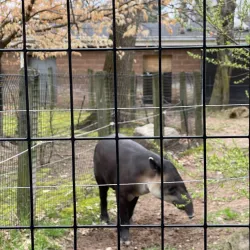 Bergen County Zoo - Harrington Park