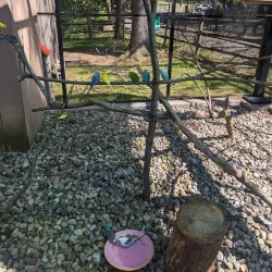 Bergen County Zoo - Harrington Park