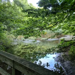 Flat Rock Brook Nature Center - Harrington Park