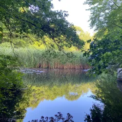 Flat Rock Brook Nature Center - Harrington Park
