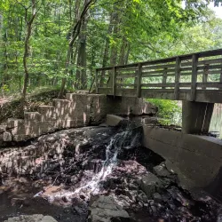 Flat Rock Brook Nature Center - Harrington Park