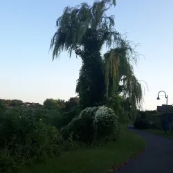 Hackensack RiverWalk - Harrington Park