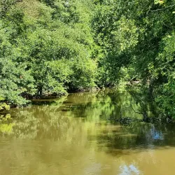 Harrington Park Community Park - Harrington Park