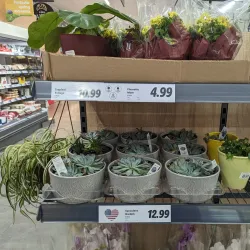 Kinderkamack Road Shopping District - Harrington Park