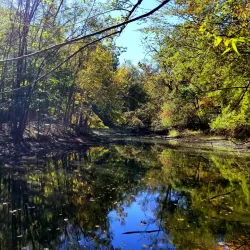 Pascack Brook County Park - Harrington Park